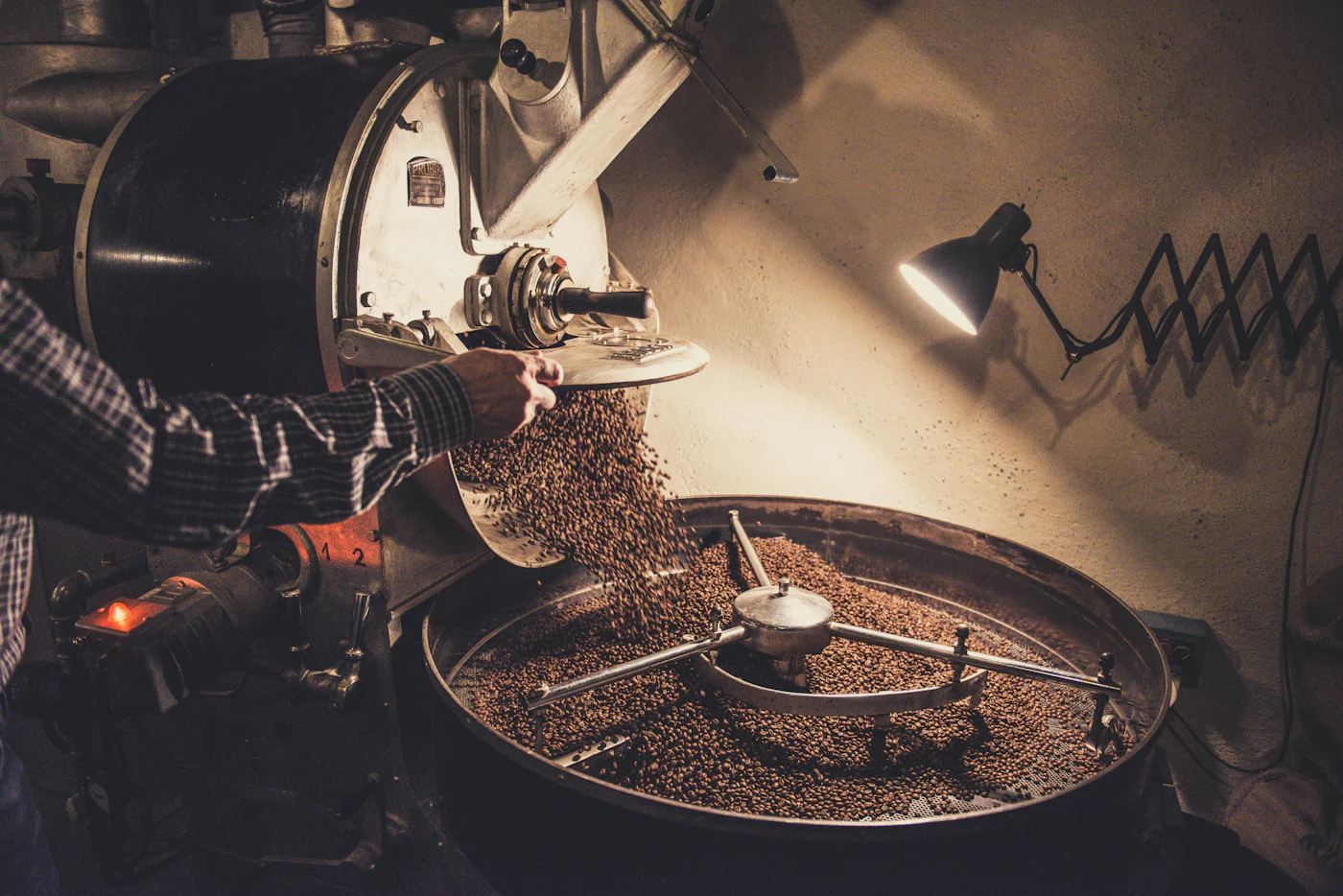 Freshly roasted beans pouring into the cooling tray of a drum roaster
